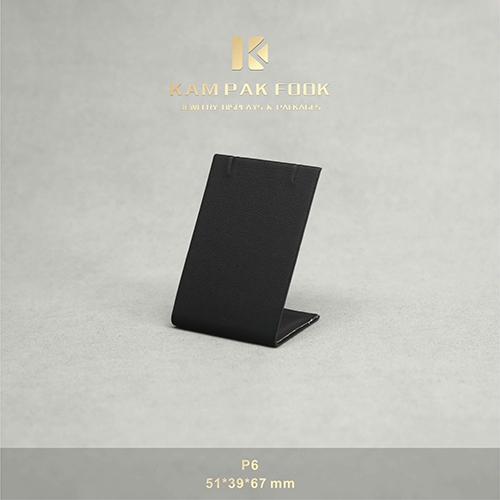 P6 Pendant Stand