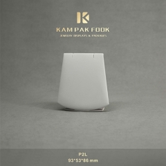 P2L Pendant Stand