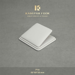 P14 Pendant Stand